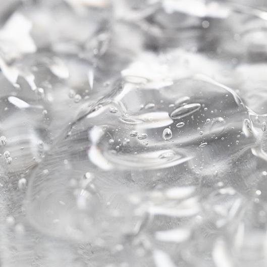 Blossom Brow Bundle Membership